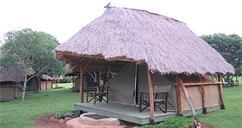 Acacia Camp