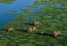 Amboseli National Park