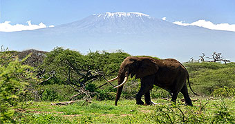 Amboseli National Park