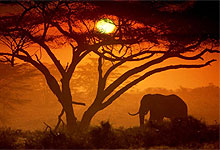 Amboseli National Park sunset in Kenya
