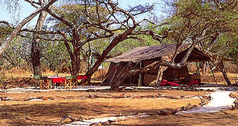 Amboseli Porini Camp