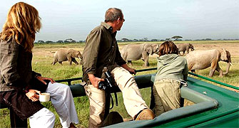 Amboseli Safari