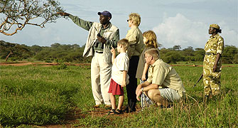 Amboseli Safari