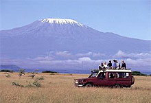 Amboseli 'Spice' Game Drives in Kenya