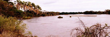 Arawale National Reserve 