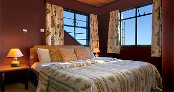 Ark Tree Lodge One night Safari
