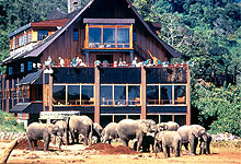 The Ark Fairmont Tree Lodge in the Aberdare National Park