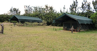 Aruba Mara Camp