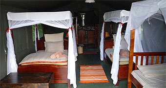 Aruba Mara Camp