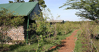 Aruba Mara Camp
