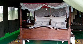 Aruba Mara Camp