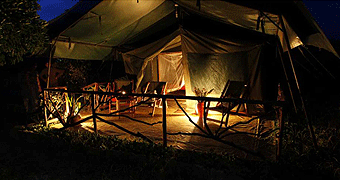 Aruba Mara Camp