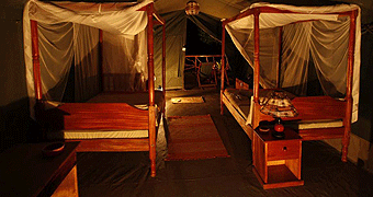 Aruba Mara Camp