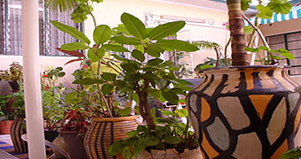 Azee Guest House Nairobi