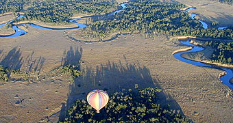 Balloon Safaris