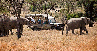 Base Camp Masai Mara Explorer