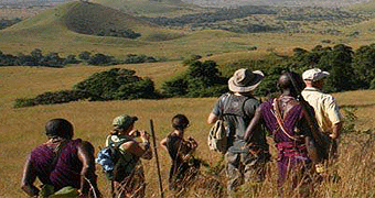 Base Camp Masai Mara Explorer