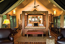 Bateleur Camp
