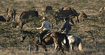 Borana lodge horse back