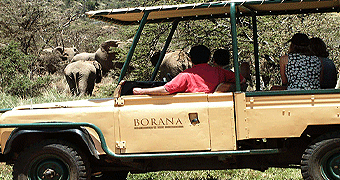Borana lodge safari