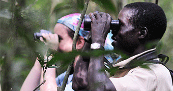 Budongo Forest Reserve