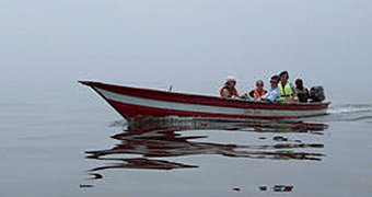 Bulago Island Day Trip