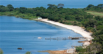 Bulago Island 
