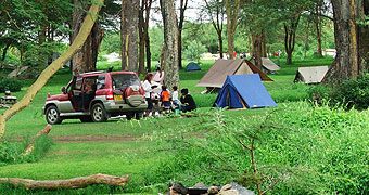 Camp Carnelley's 