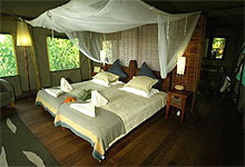 Camp Moremi Botswana