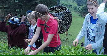 Coffee & Tea Day Tour