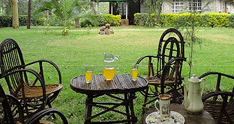 Coffee & Tea Day Tour