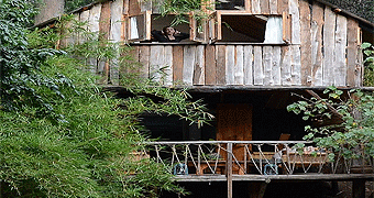Creaky Cottage Nanyuki 