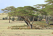 Crescent Island Conservancy