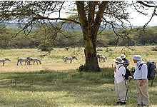 Crescent Island Wildlife Sanctuary