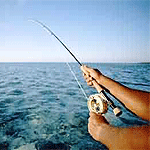 Deep Sea Sport Fishing Mombasa | Shimoni | Kilifi | Watamu