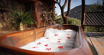 Desert Rose Lodge