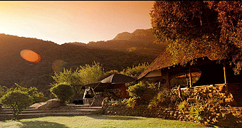 Desert Rose Lodge