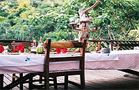 Desert Rose Lodge