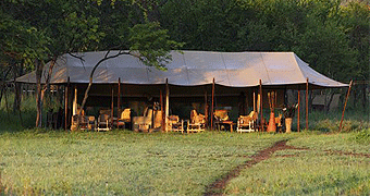 Dunia Camp Serengeti