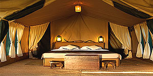 Duina Camp Serengeti, Tanzania