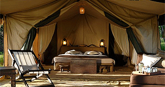 Dunia Camp Serengeti