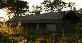 Dunia Camp Serengeti