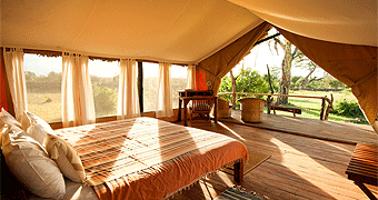 Ekorian’s Mugie Camp