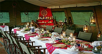 Elephant Pepper Camp