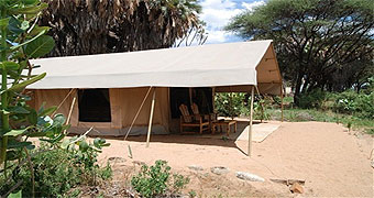Elephant Bedroom Camp