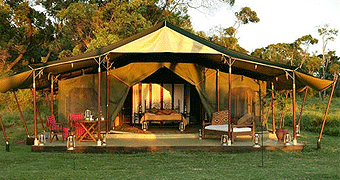 Elephant Pepper Camp