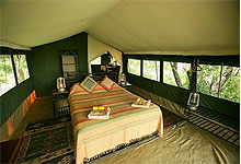 Elephant Pepper Camp Tent, Masai Mara, Kenya