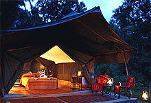 Elephant Pepper Camp Tent, Masai Mara, Kenya