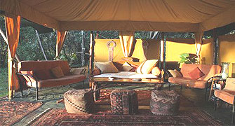 Elephant Pepper Camp