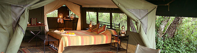 Elephant Pepper Camp